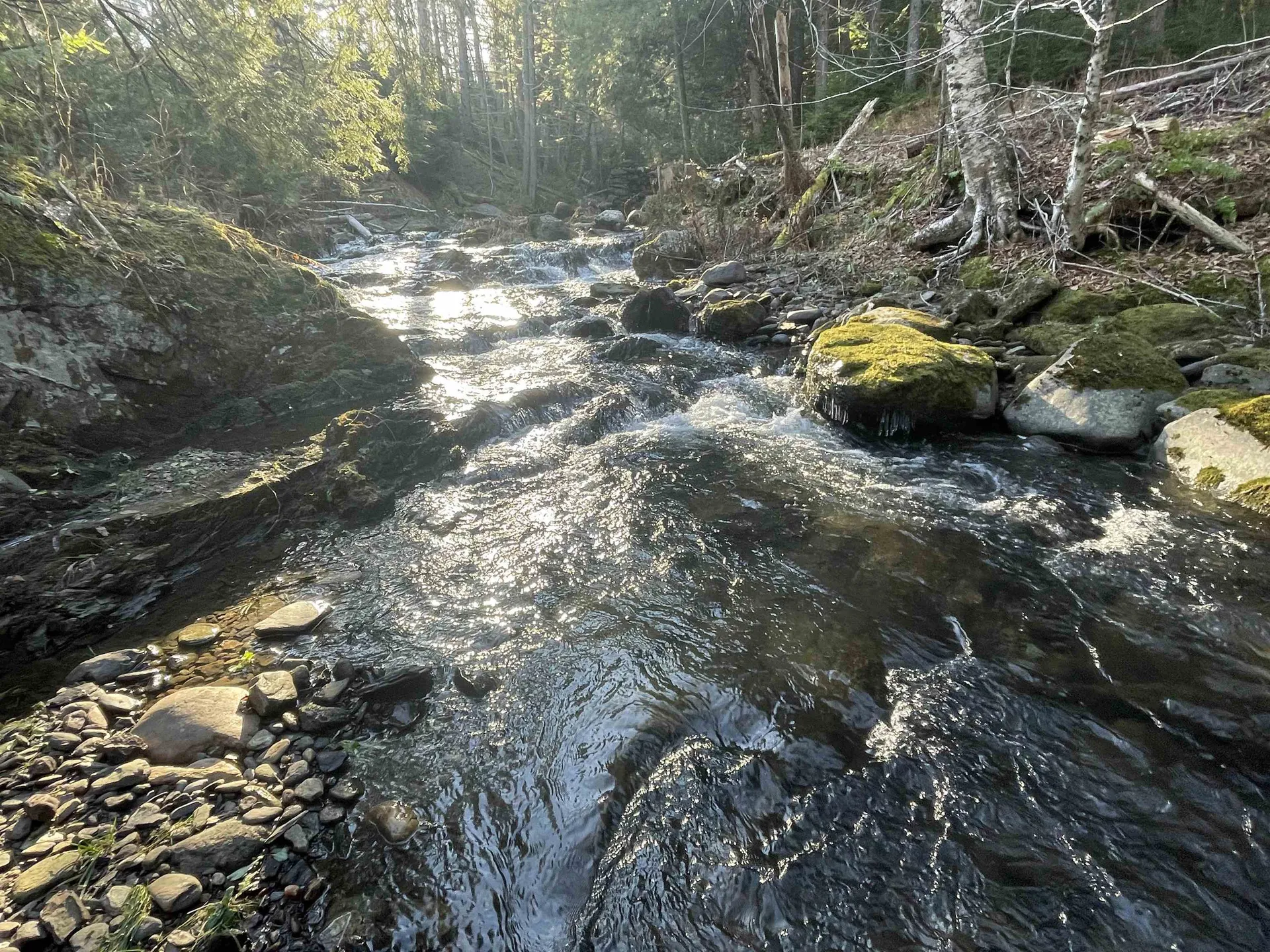 3620 East Warren Road Waitsfield VT 05673