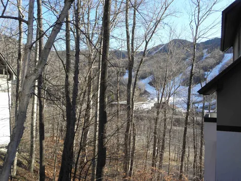 61 Coolidge Falls Road Lincoln NH 03251