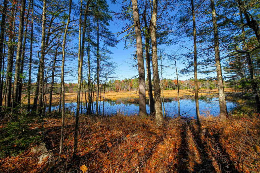 114-001 Ledgy Pond Road Moultonborough NH 03254