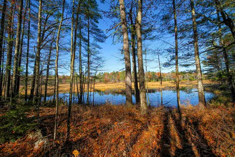 114-001 Ledgy Pond Road Moultonborough NH 03254