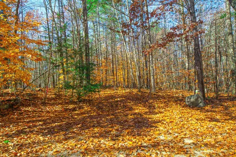 114-001 Ledgy Pond Road Moultonborough NH 03254