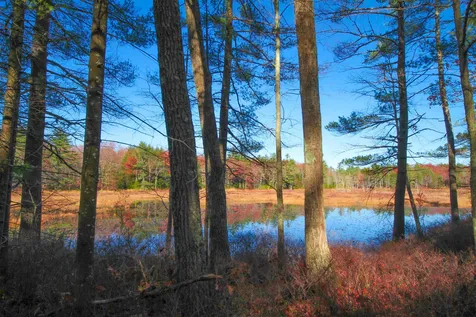 114-001 Ledgy Pond Road Moultonborough NH 03254