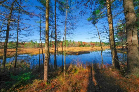 114-001 Ledgy Pond Road Moultonborough NH 03254