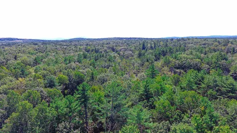 114-001 Ledgy Pond Road Moultonborough NH 03254