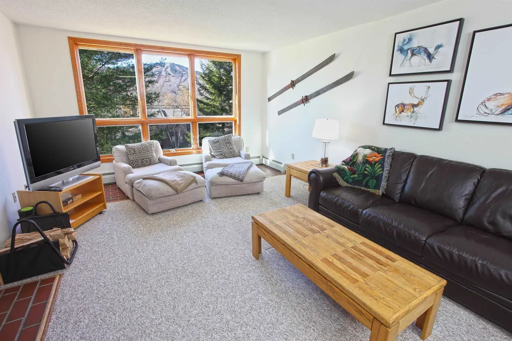 55 White Oaks Loop Dover VT 05356