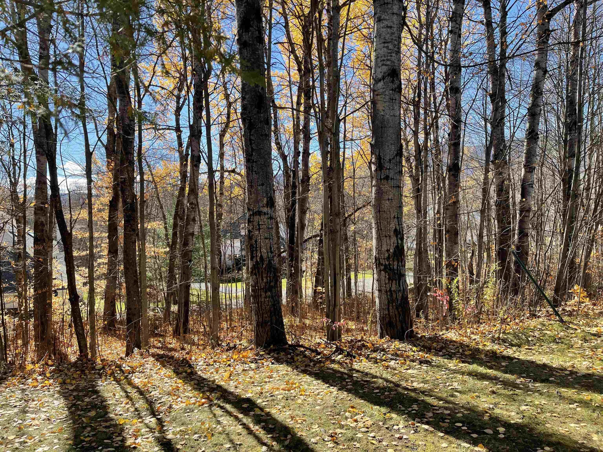 74 Broadway Road Warren VT 05674