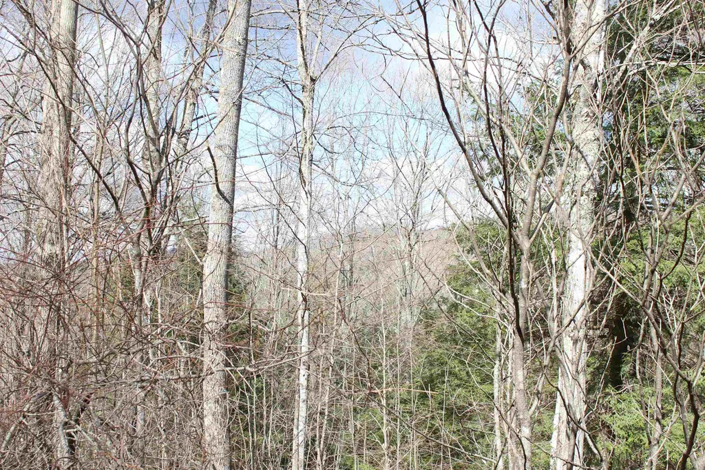 00 West Road Barnard VT 05031