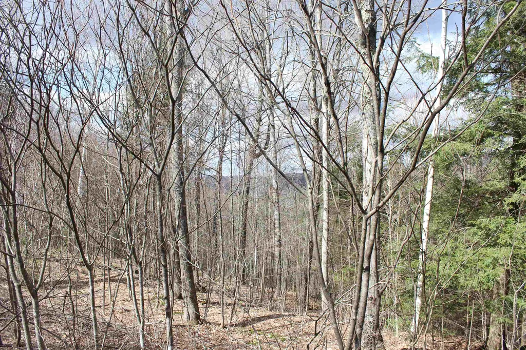 00 West Road Barnard VT 05031