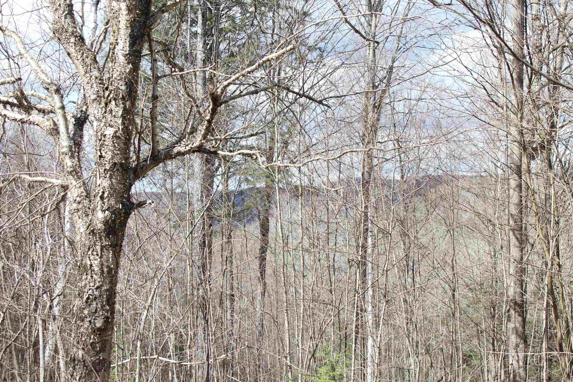 00 West Road Barnard VT 05031
