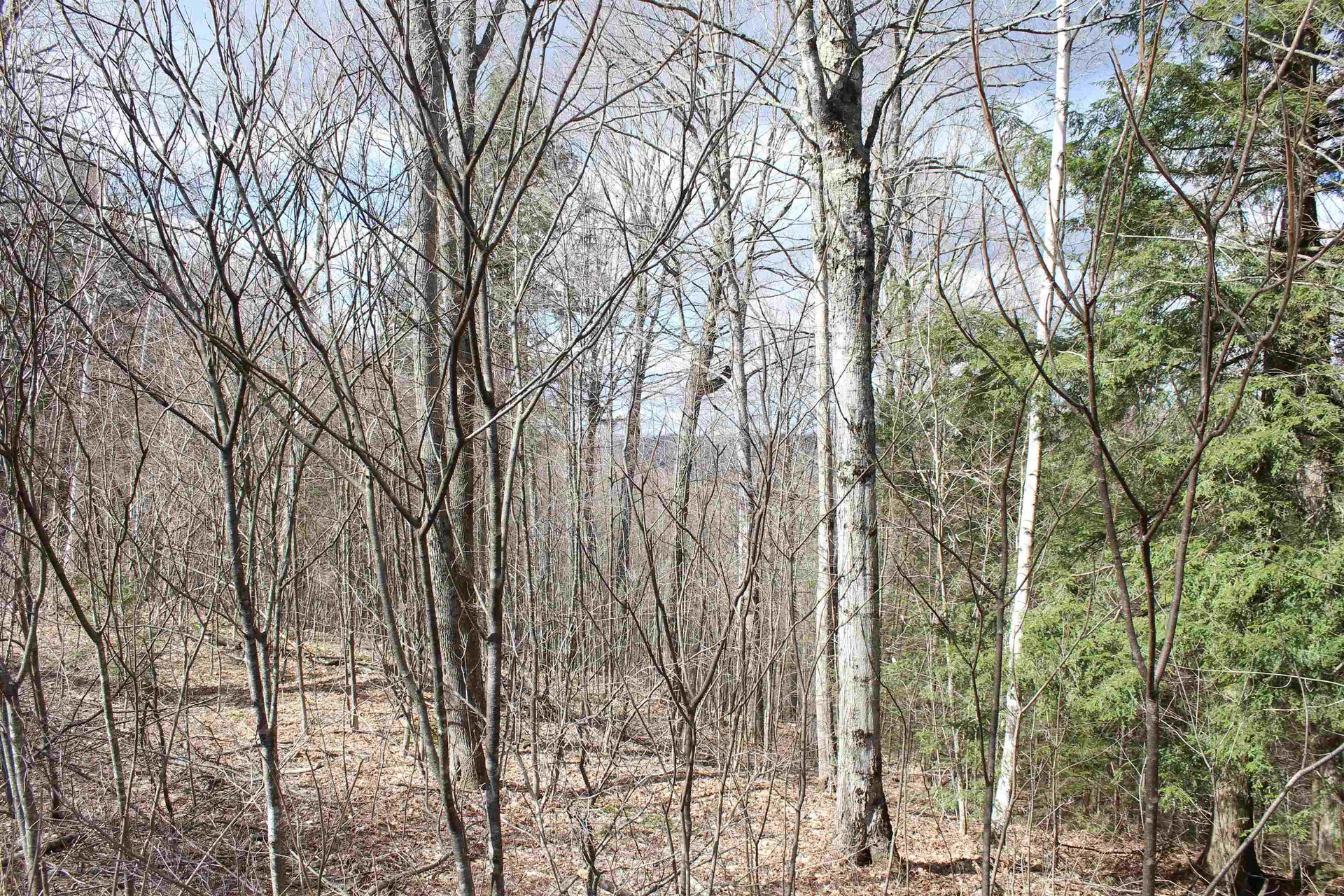 00 West Road Barnard VT 05031