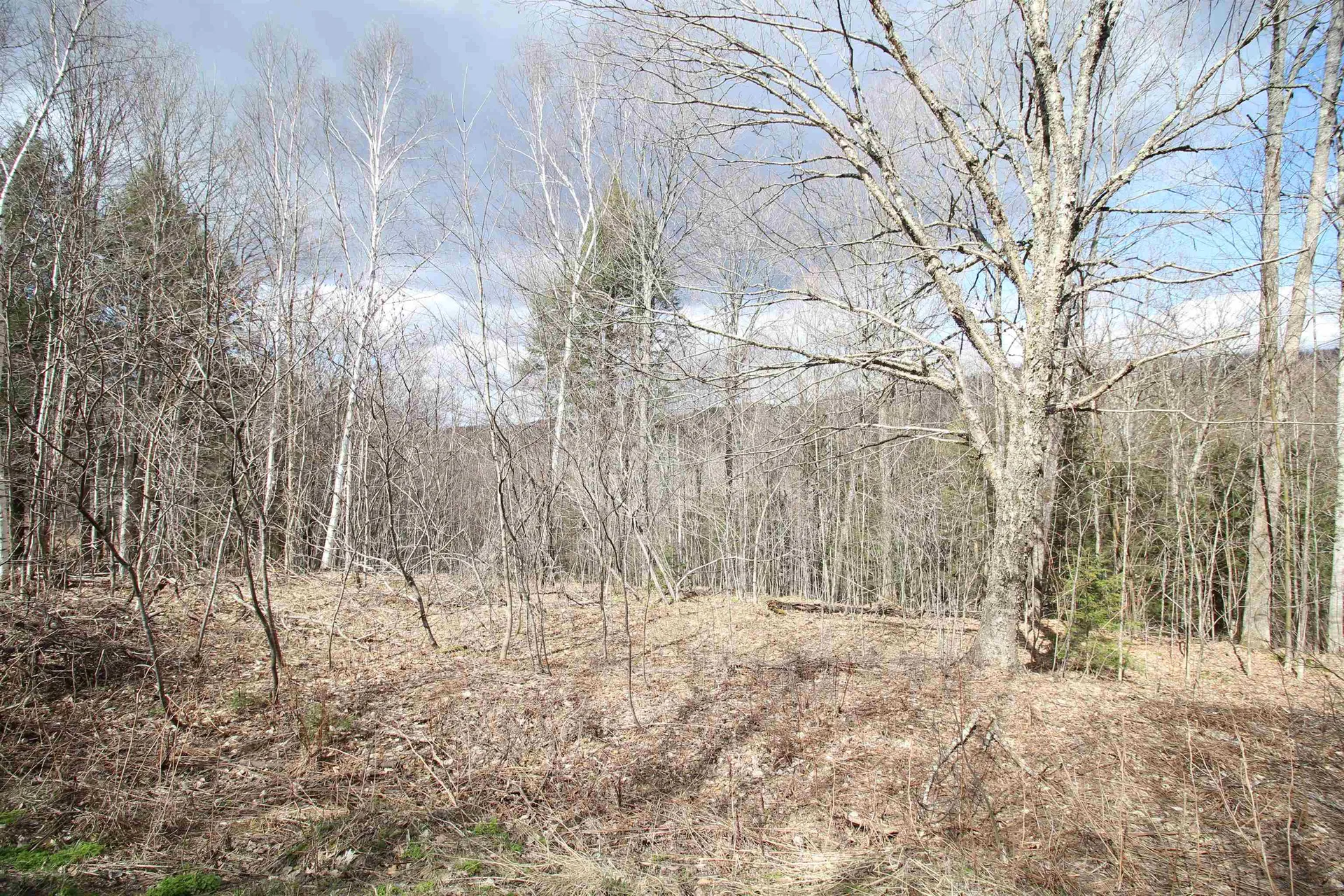 00 West Road Barnard VT 05031