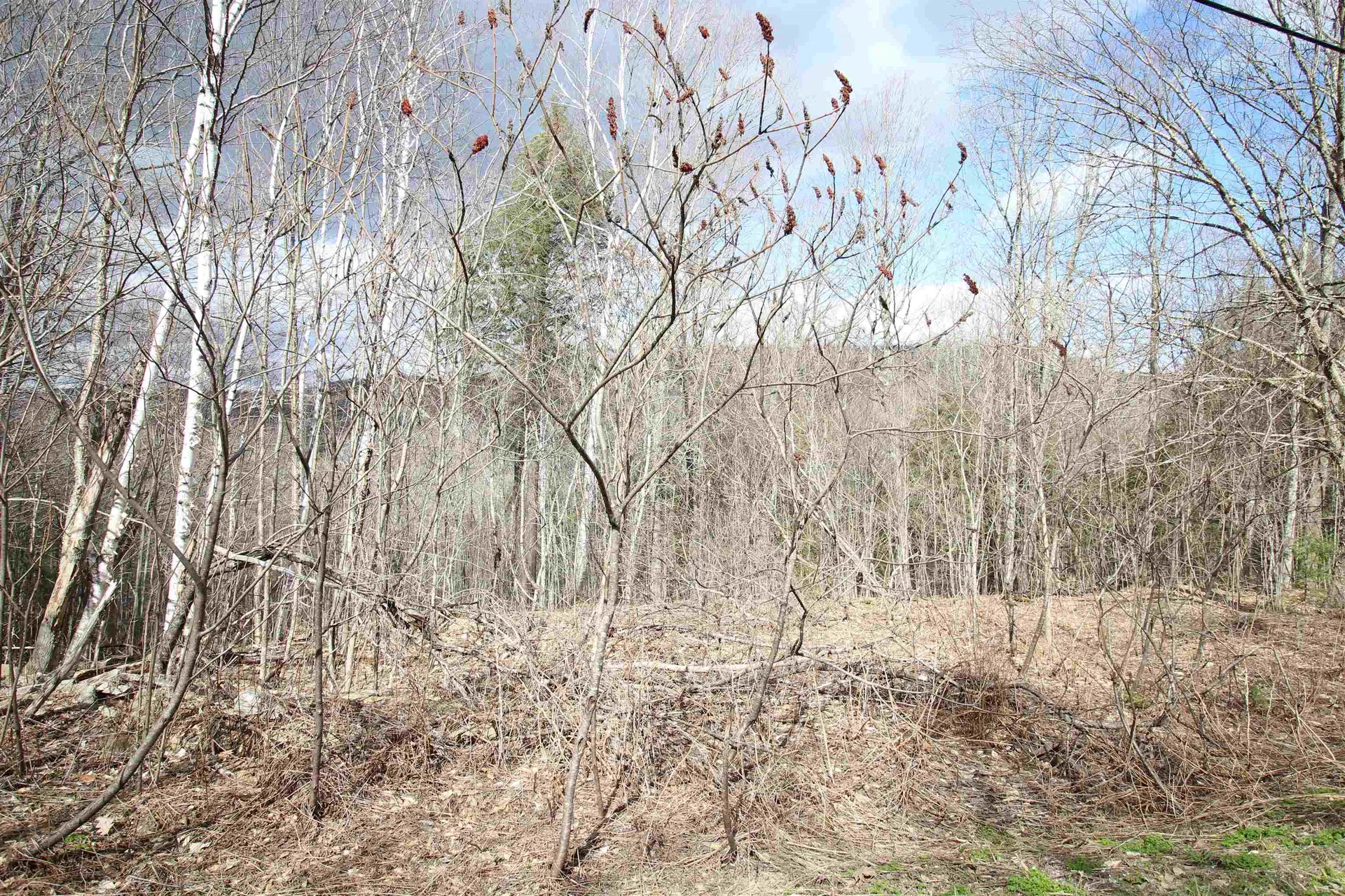00 West Road Barnard VT 05031