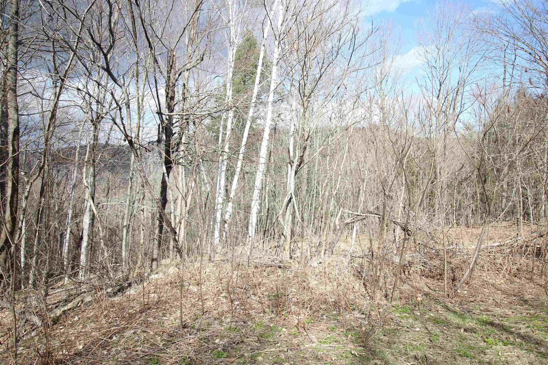 00 West Road Barnard VT 05031