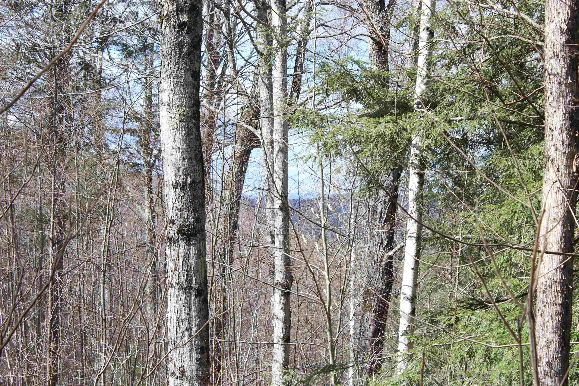 00 West Road Barnard VT 05031