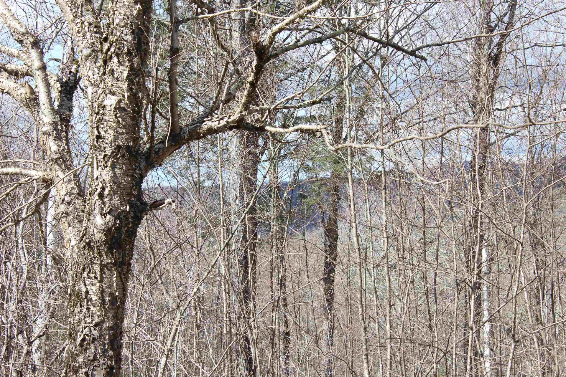 00 West Road Barnard VT 05031