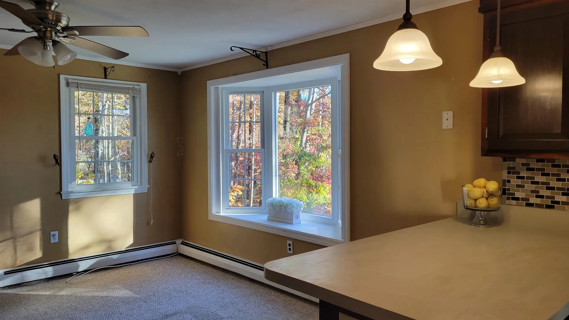 3 Rowell Lane Sandown NH 03873