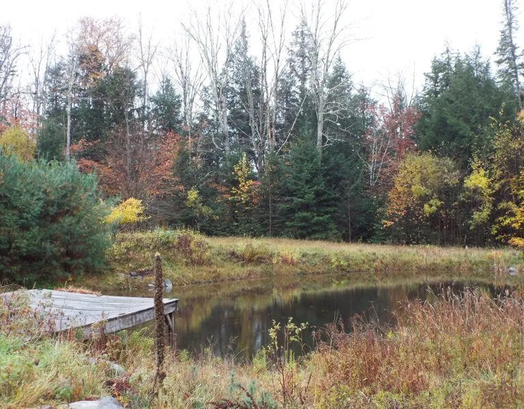 312 Dickey Road Newbury VT 05085