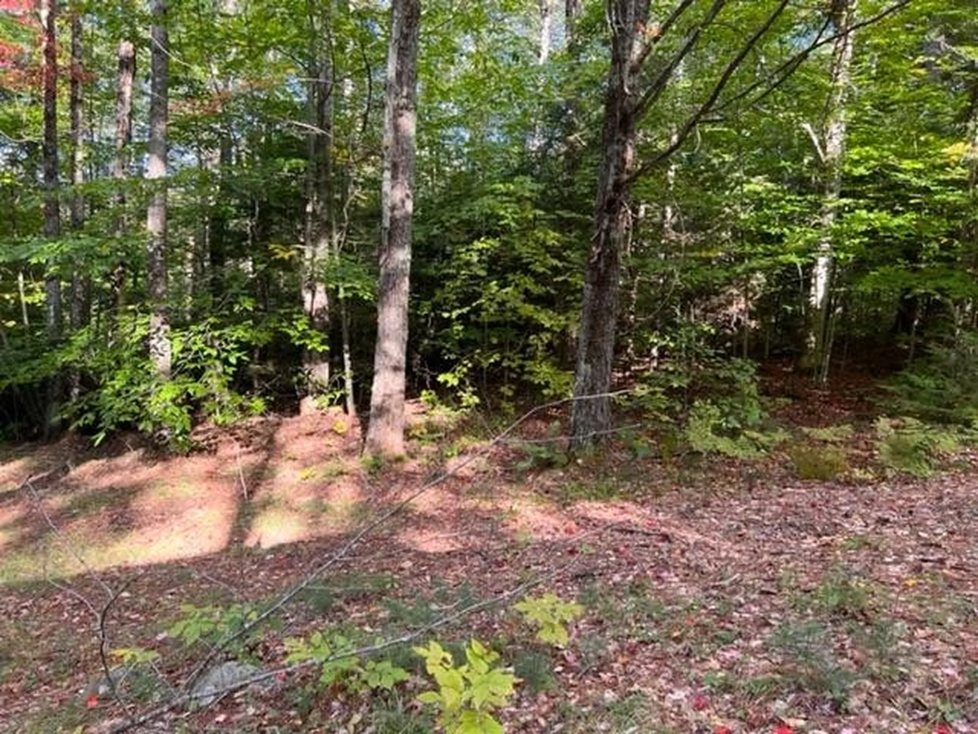 Lot 3 Briarcliff Circle Campton NH 03223