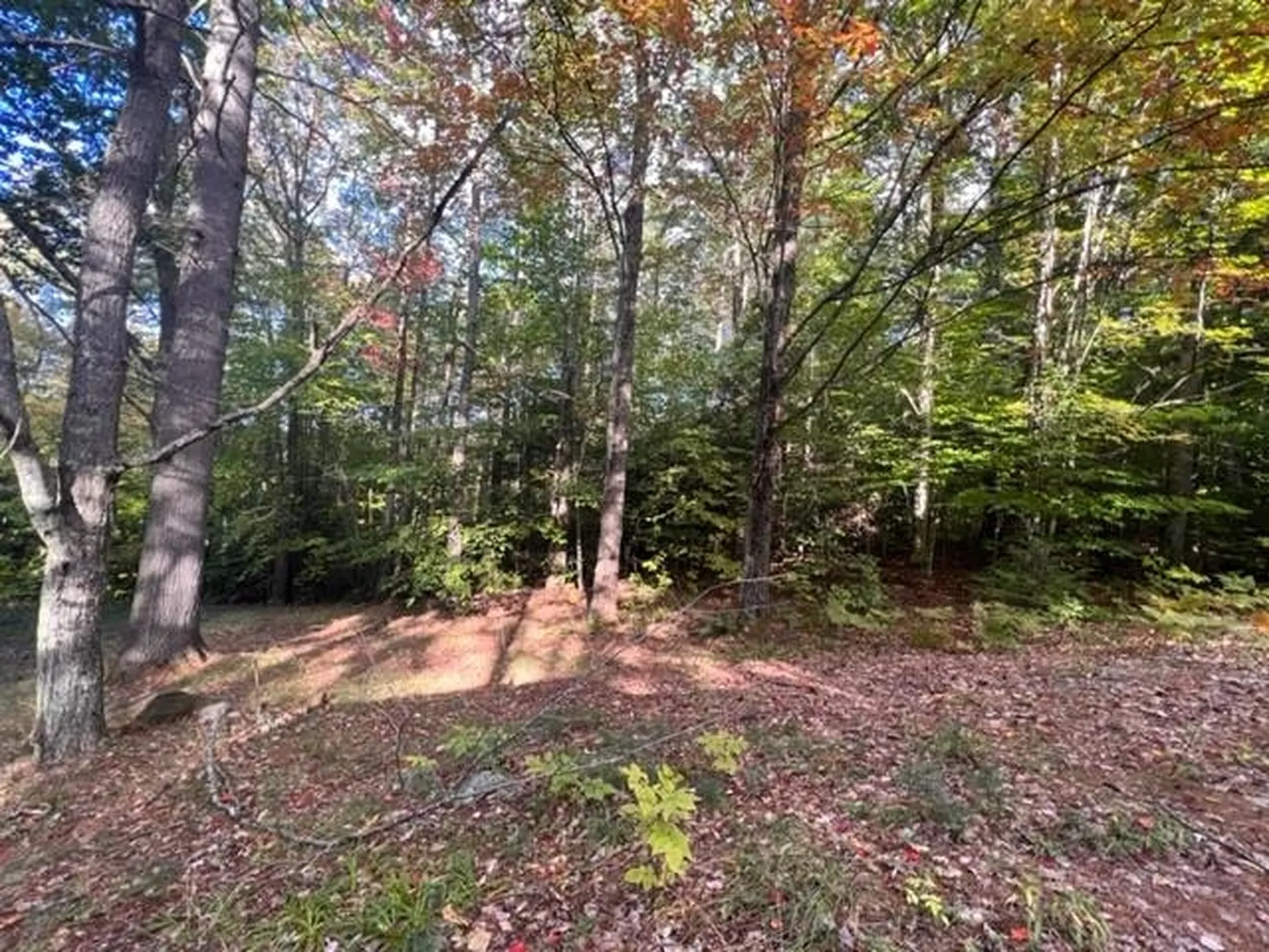 Lot 3 Briarcliff Circle Campton NH 03223