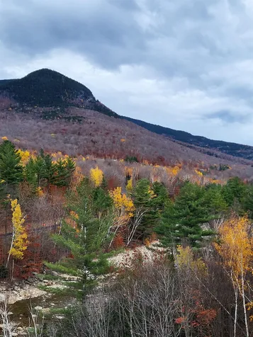 90 Loon Mountain Road Lincoln NH 03251