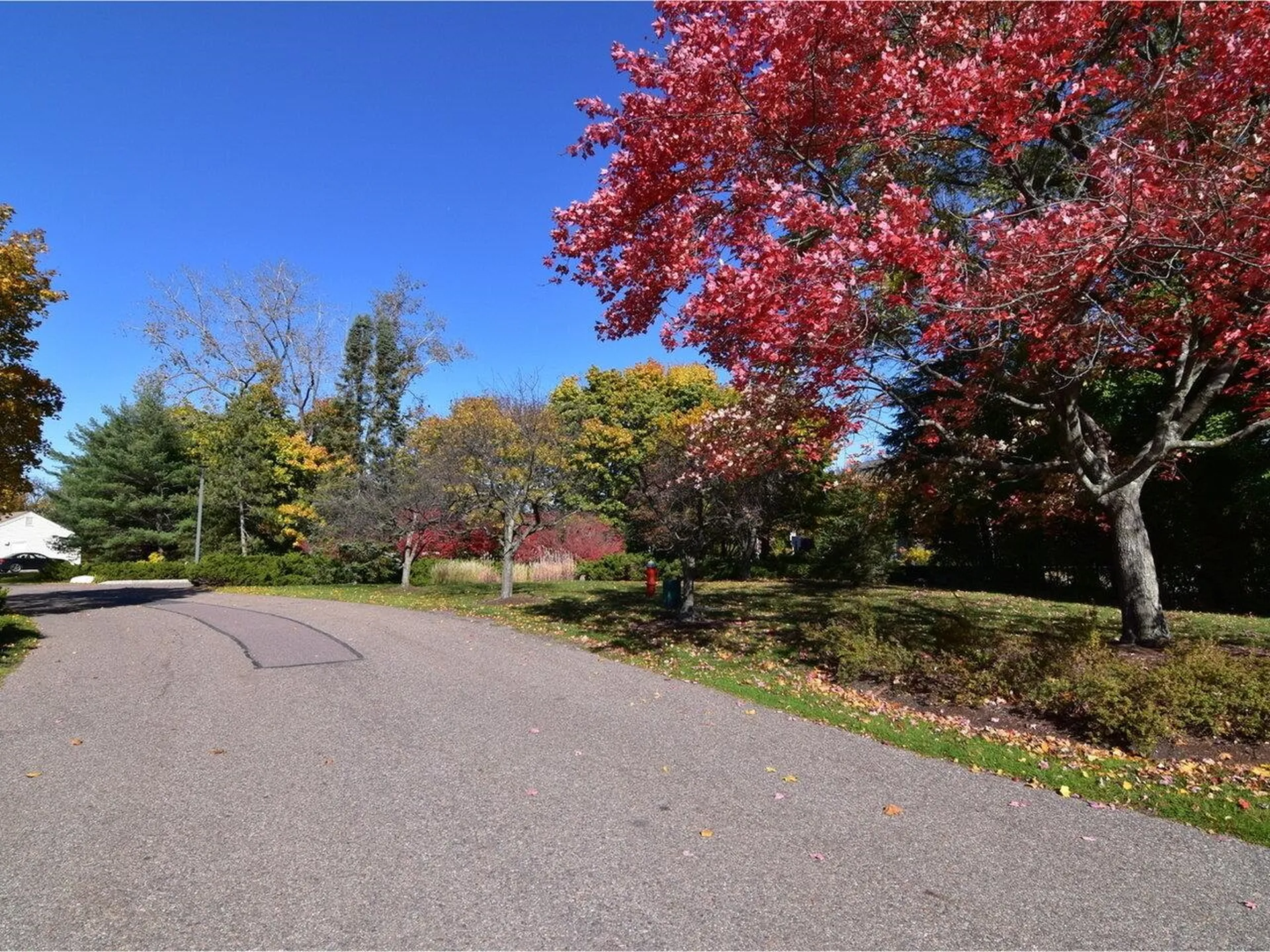 545 South Prospect Street Burlington VT 05401