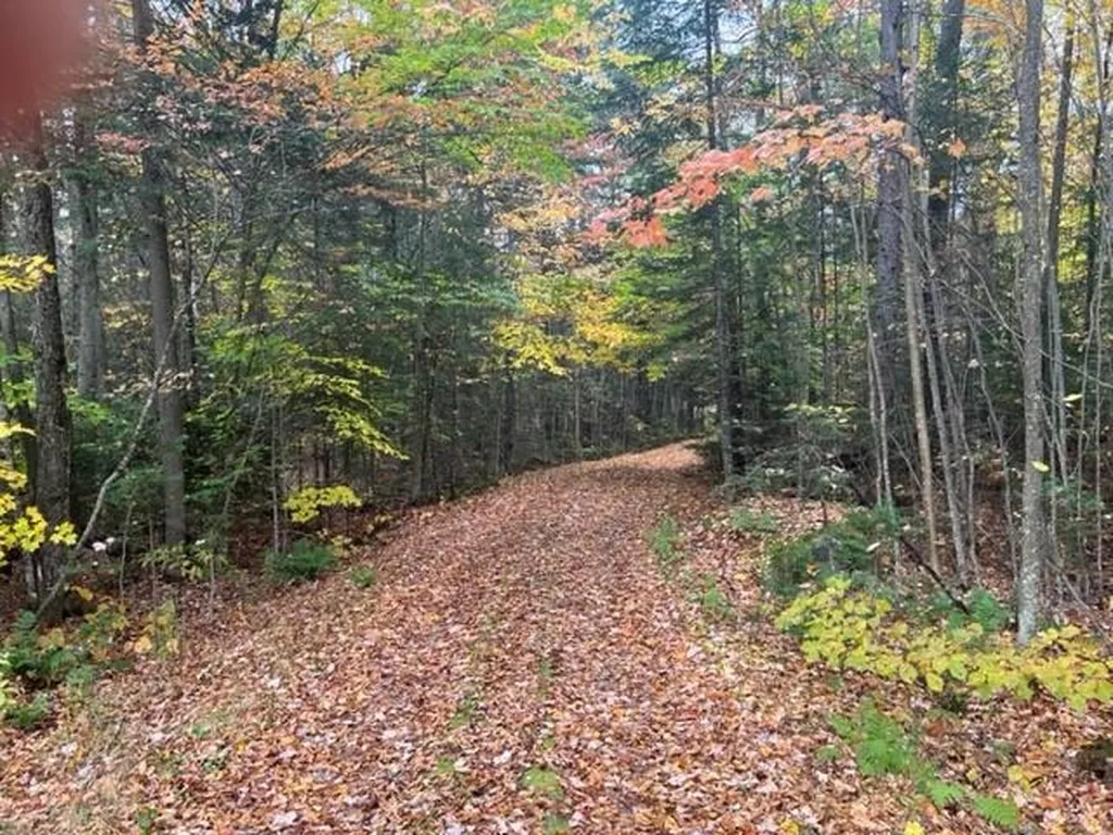 3175 State Forest Road Groton VT 05046