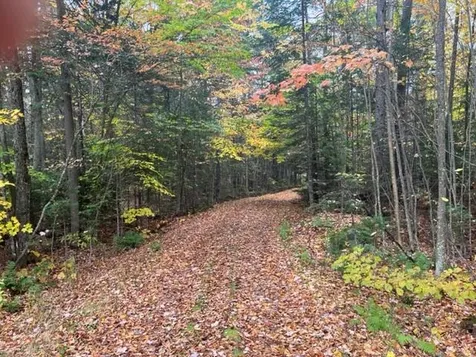 3175 State Forest Road Groton VT 05046