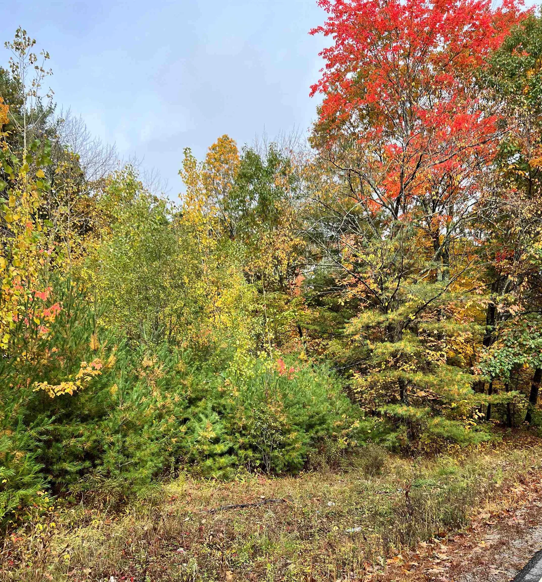 202 Range Road Windham NH 03087