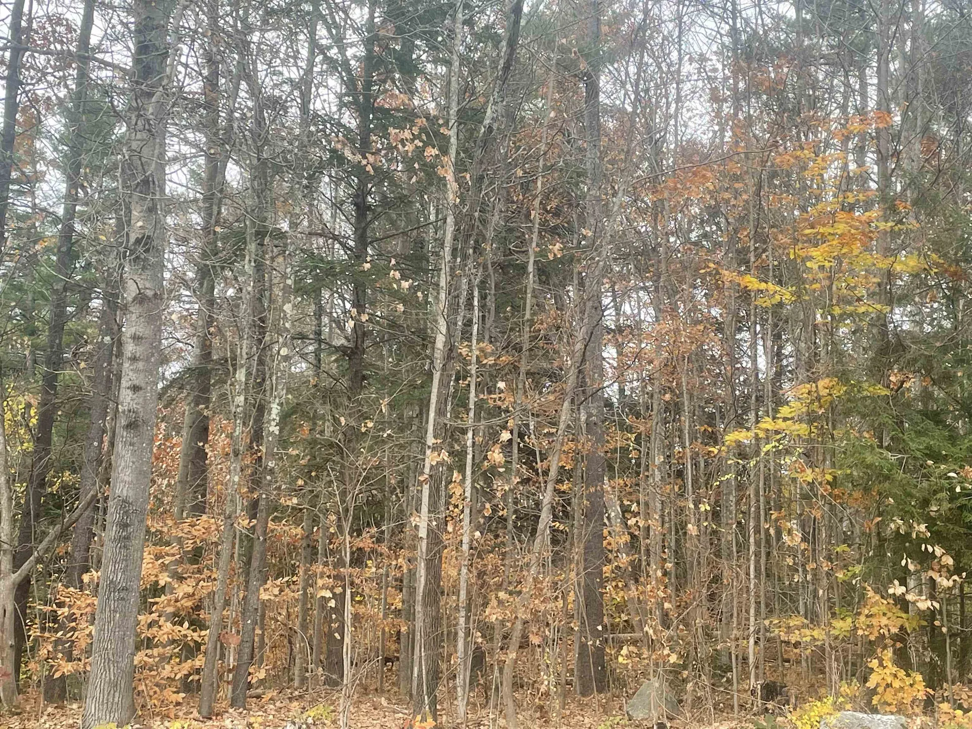 2685 Lake Shore Road Gilford NH 03249