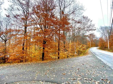 2 Birch Brae Grantham NH 03753