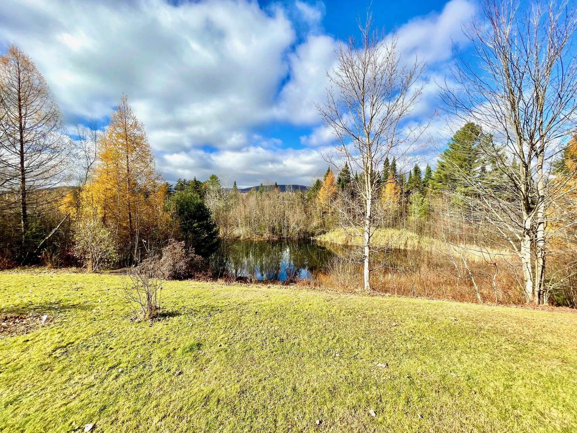 167 Spruce Lane Eden VT 05652