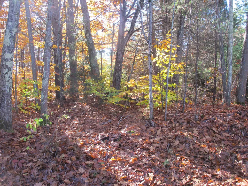 30 Hansonville Road Rochester NH 03839