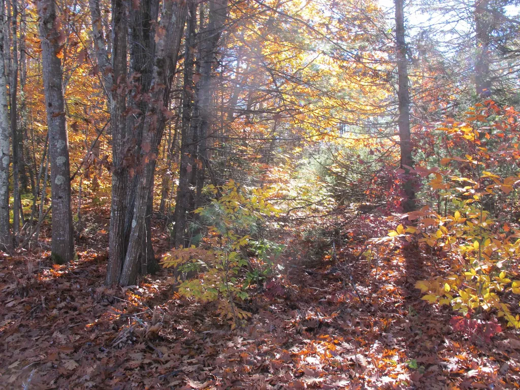30 Hansonville Road Rochester NH 03839