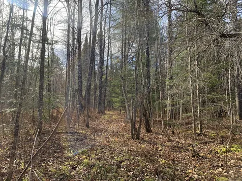790 Wheelock Road Danville VT 05828