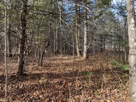 790 Wheelock Road Danville VT 05828