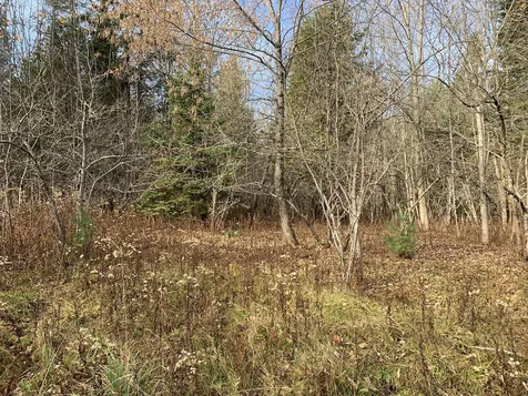 790 Wheelock Road Danville VT 05828