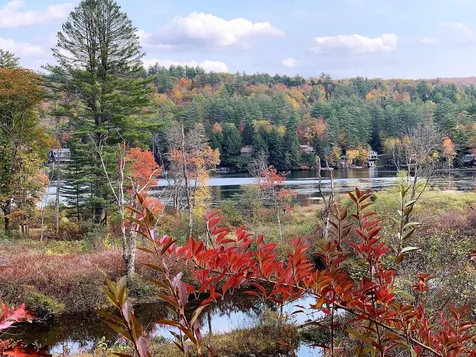 1584 Route 100 N Ludlow VT 05149