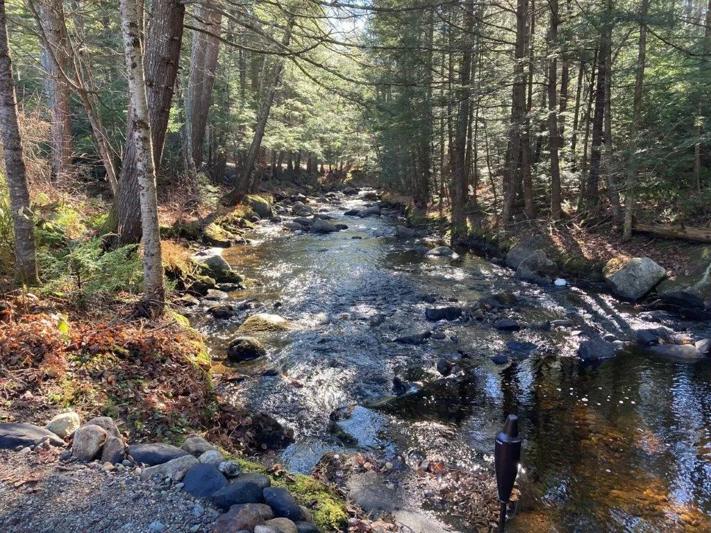 159 Millbrook Road Grafton NH 03240