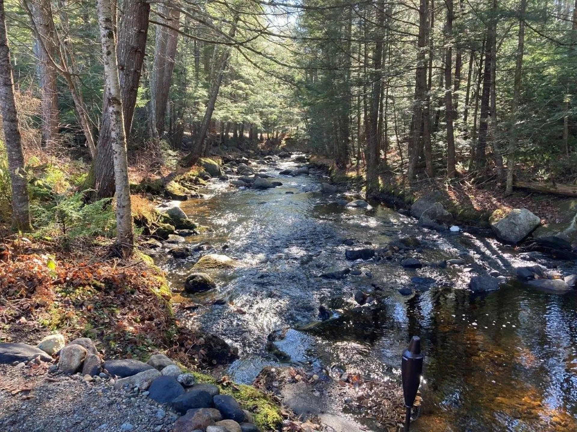 159 Millbrook Road Grafton NH 03240