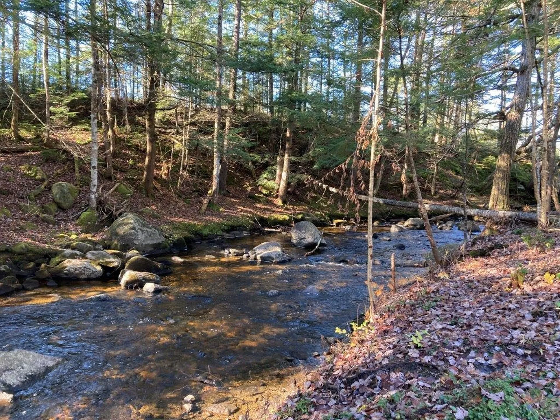 159 Millbrook Road Grafton NH 03240