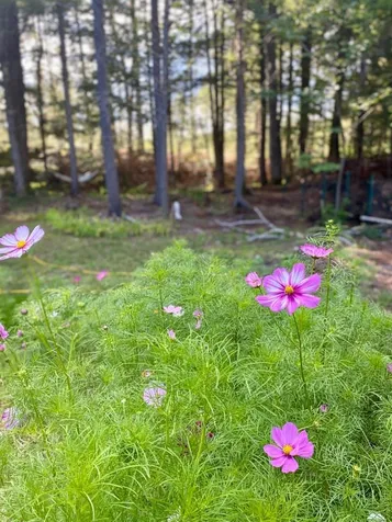 159 Millbrook Road Grafton NH 03240