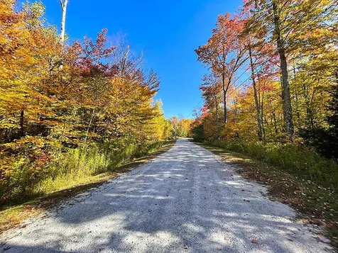 Cortina Country Road Mendon VT 05701