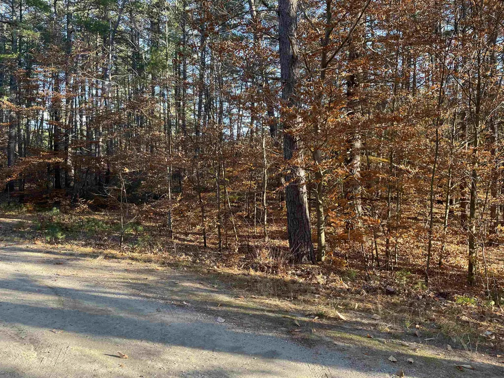 L-269 Nickerson Drive Tamworth NH 03886