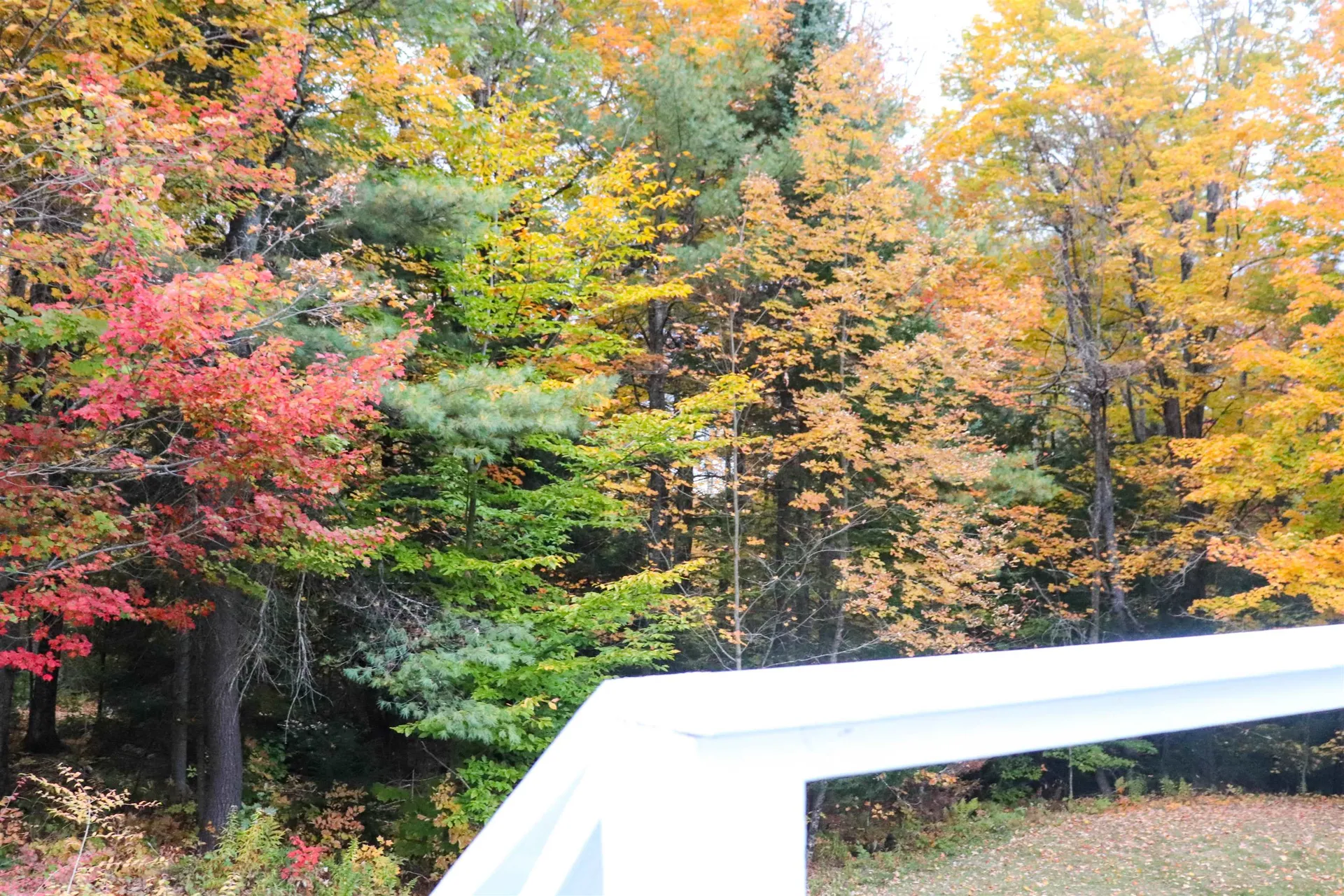 440 Pleasant Street New London NH 03257