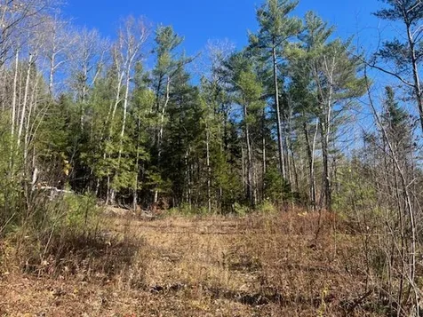 84 Parker Ridge Road Bartlett NH 03812