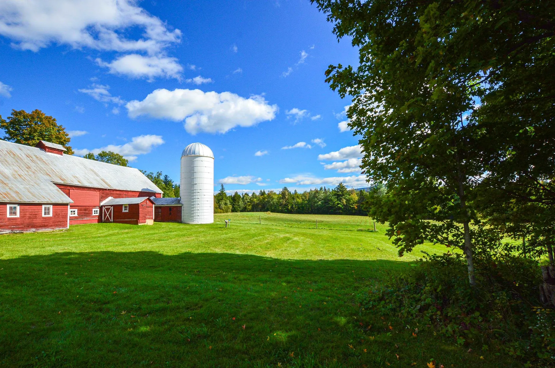 336 Stanley Lane Mount Holly VT 05758