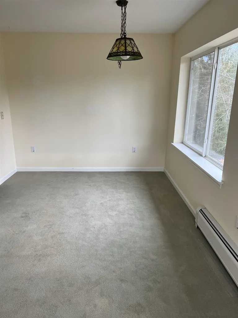 125 Thomas Lane Stowe VT 05672