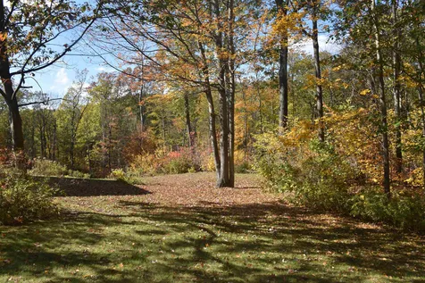 108 Pheasant Woods Colchester VT 05446