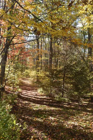 108 Pheasant Woods Colchester VT 05446