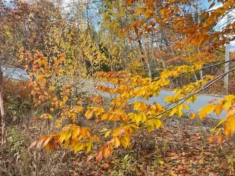 0 North Hampshire Ridge Road Jackson NH 03246